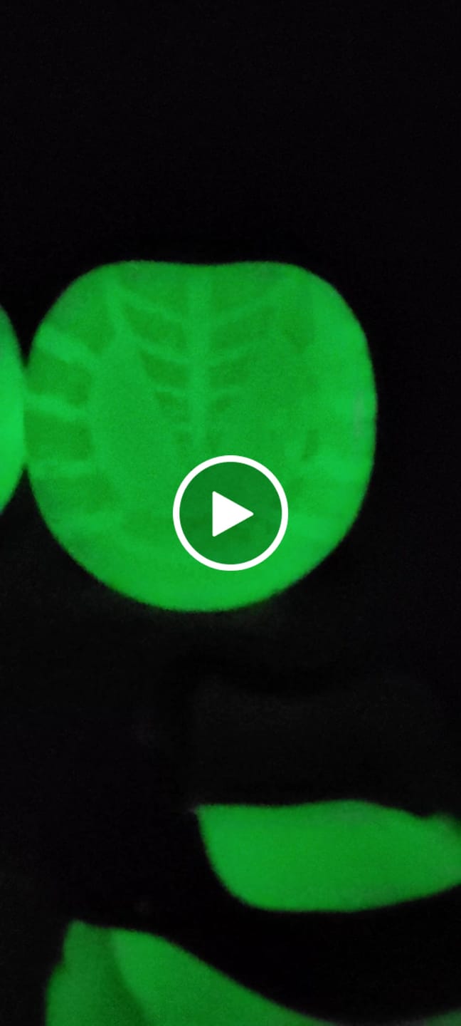 Customer video review of Renegade® Viper Glow™ Hoof Boot - Atomic Green