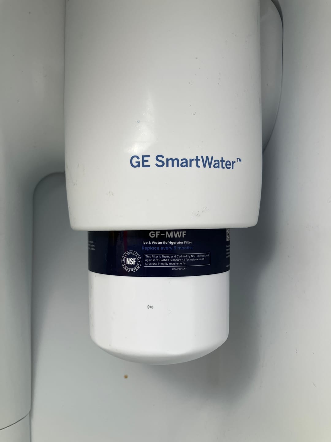 Customer photo review of Glacier Fresh Replacement for GWF Refrigerator Water Filter, GE®  MWF Water Filter
