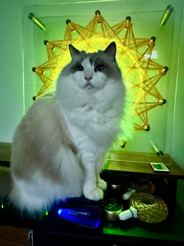 Customer photo review of Qi Coil™ Max Rife Scalar System with Resonant Console 3