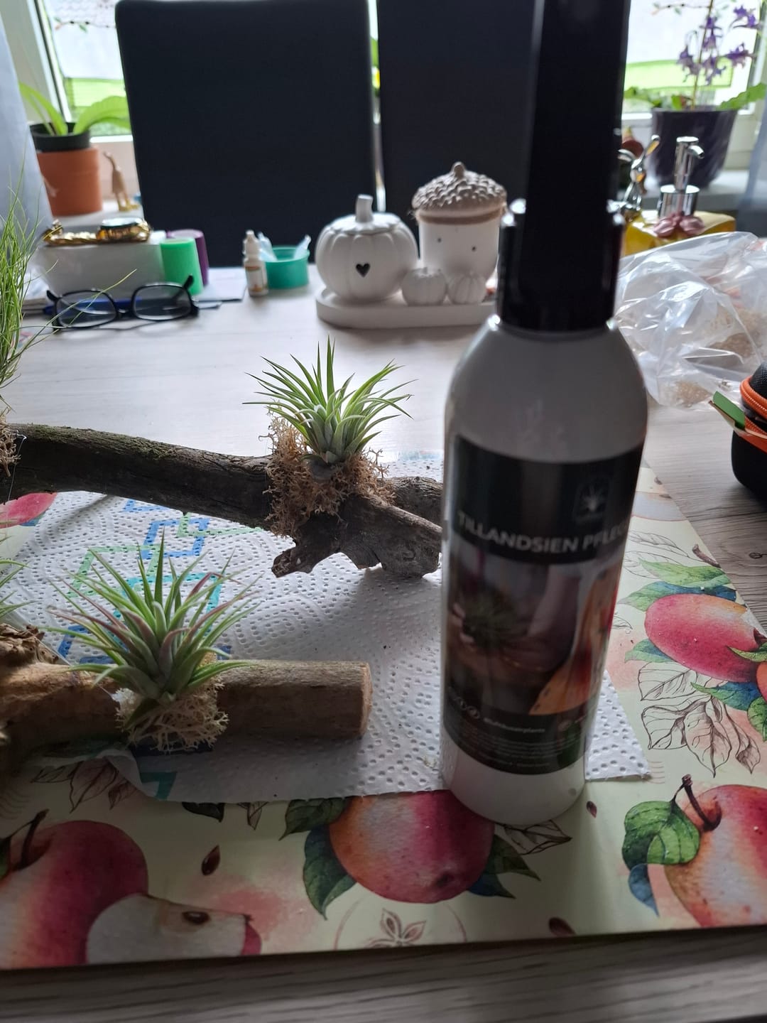 Customer photo review of Tillandsien Pflegespray