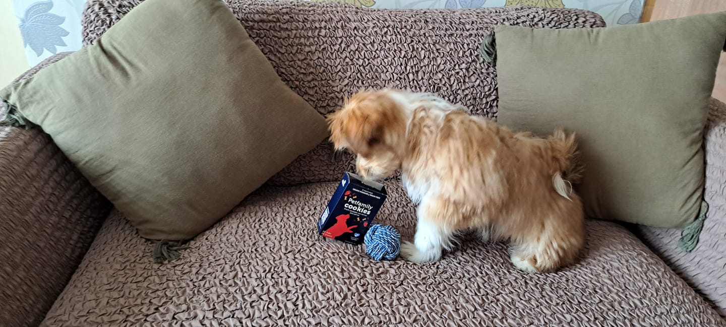 Customer photo review of PetFamily Cookies