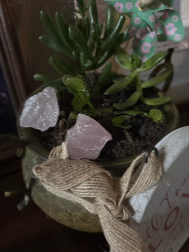 Customer photo review of VIP Crystal Club • (Monthly Crystal Program)