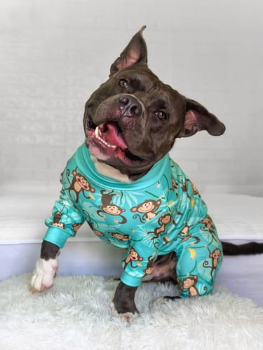 Customer photo review of Dog Pajama - Monkey Business
