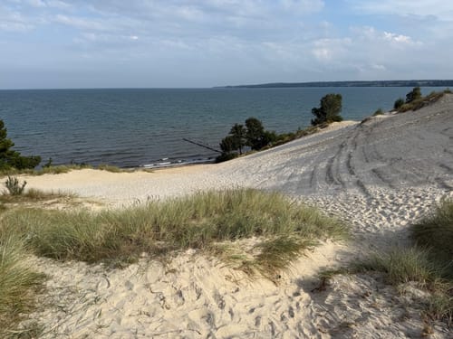 Customer photo review of Set campioni orientali e legnose 2ml