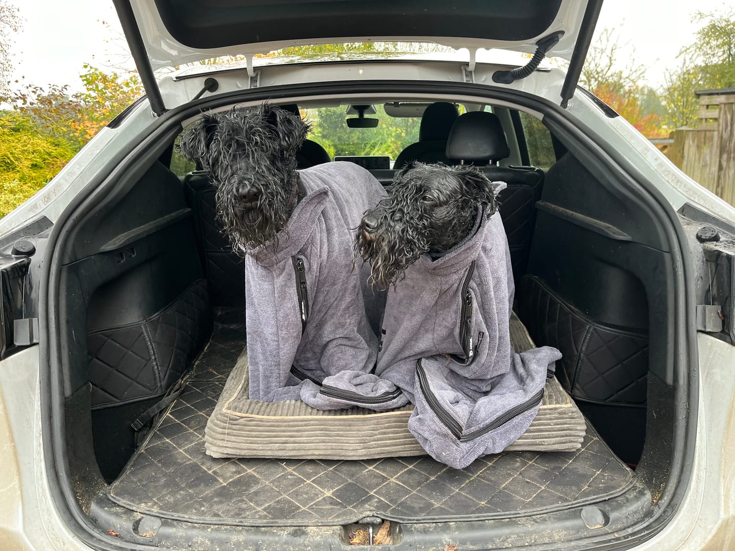Customer photo review of Luxury Dog Drying Bag