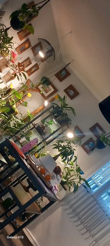 Customer photo review of Pianta Grow Light and Stelo Clip-On Bulb Holder Bundle