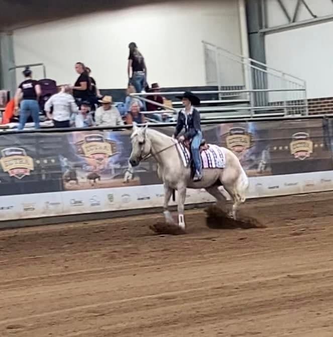 Customer photo review of Equine Joint Plus™️ 4kg