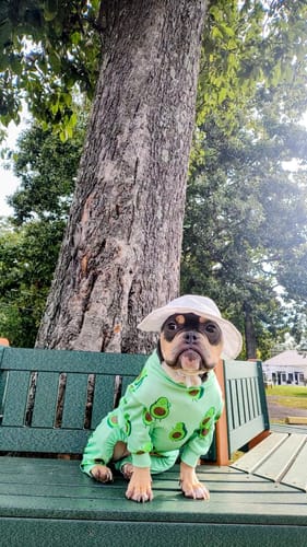 Customer photo review of Dog Pajama - Avocado
