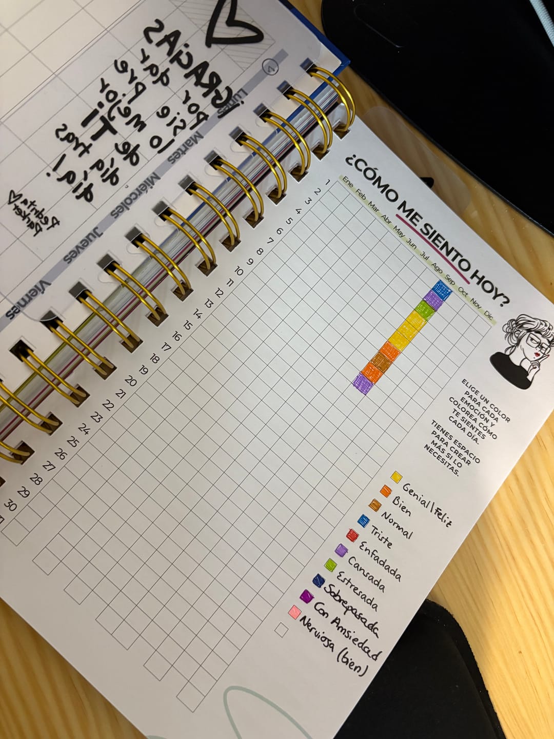 Customer photo review of Pack Pegatinas. ¡A tope de stickers!