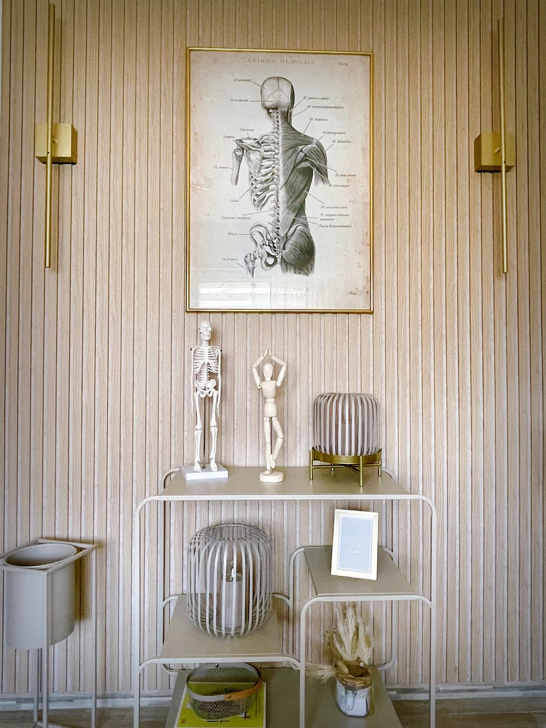 Customer photo review of Rücken Anatomie | Knochen und Muskeln