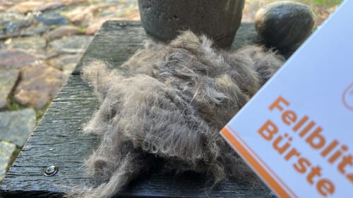Foto zur Bewertung von Bettina D.