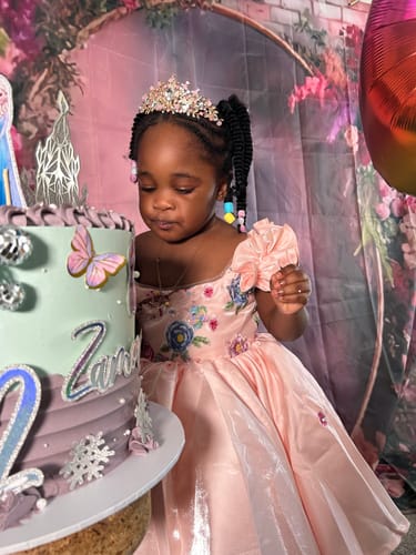 Praise S. review of Elegant Baby Girl Sequin Embroidery Dress Toddler Birthday Pageant Princess Dress image 1 out of 1