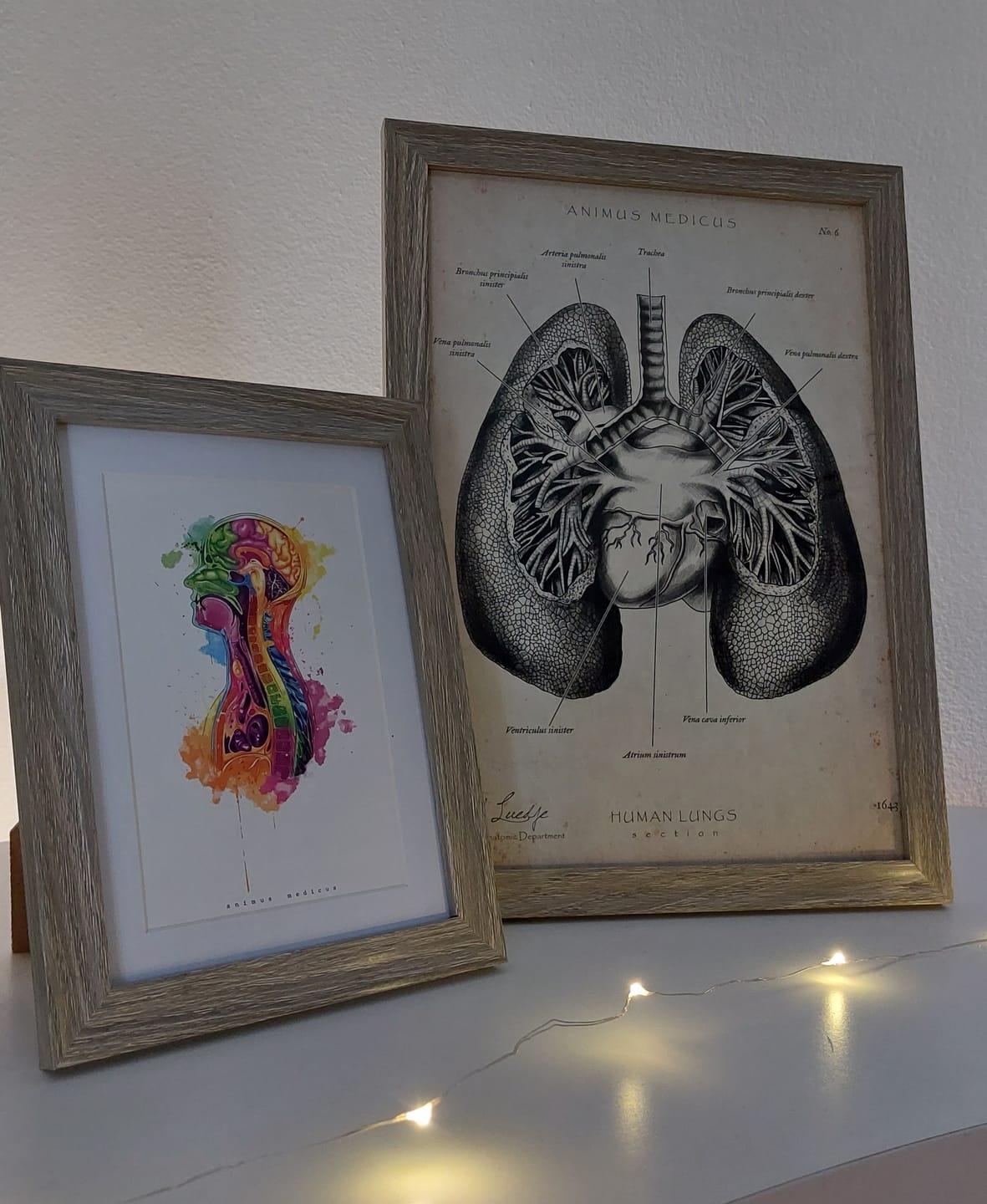 Customer photo review of Lungen Anatomie