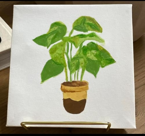 Customer photo review of 9 Mini Paintings – Indoor Plants Set | Paint by Numbers