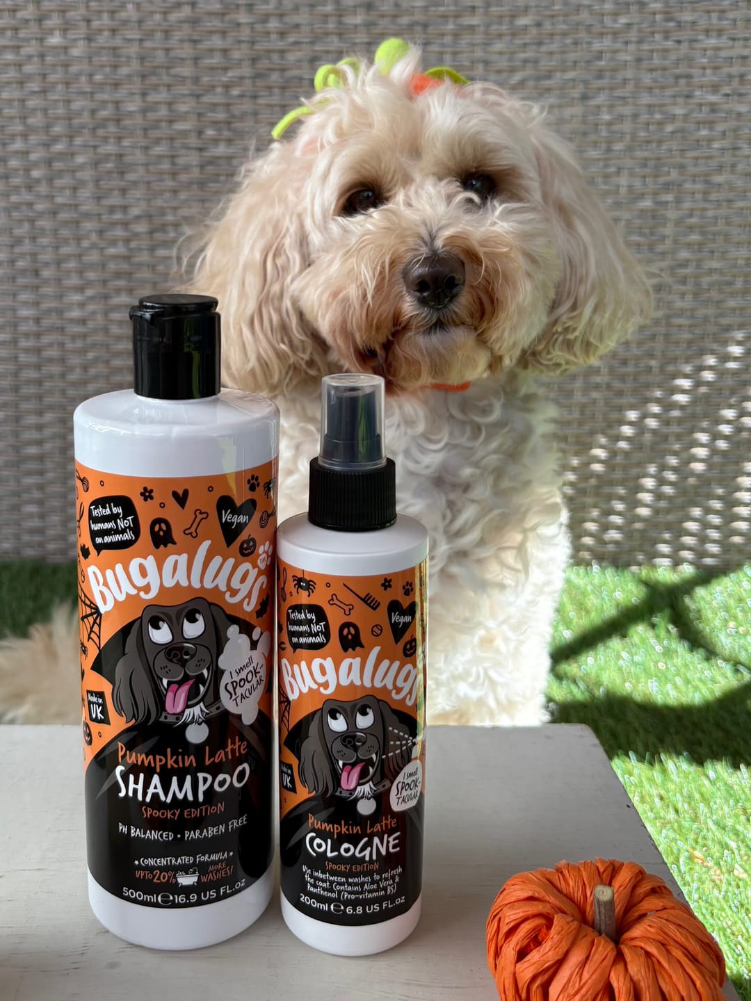 Customer photo review of Spooky Edition: Pumpkin Latte Bundle (Shampoo + Cologne)