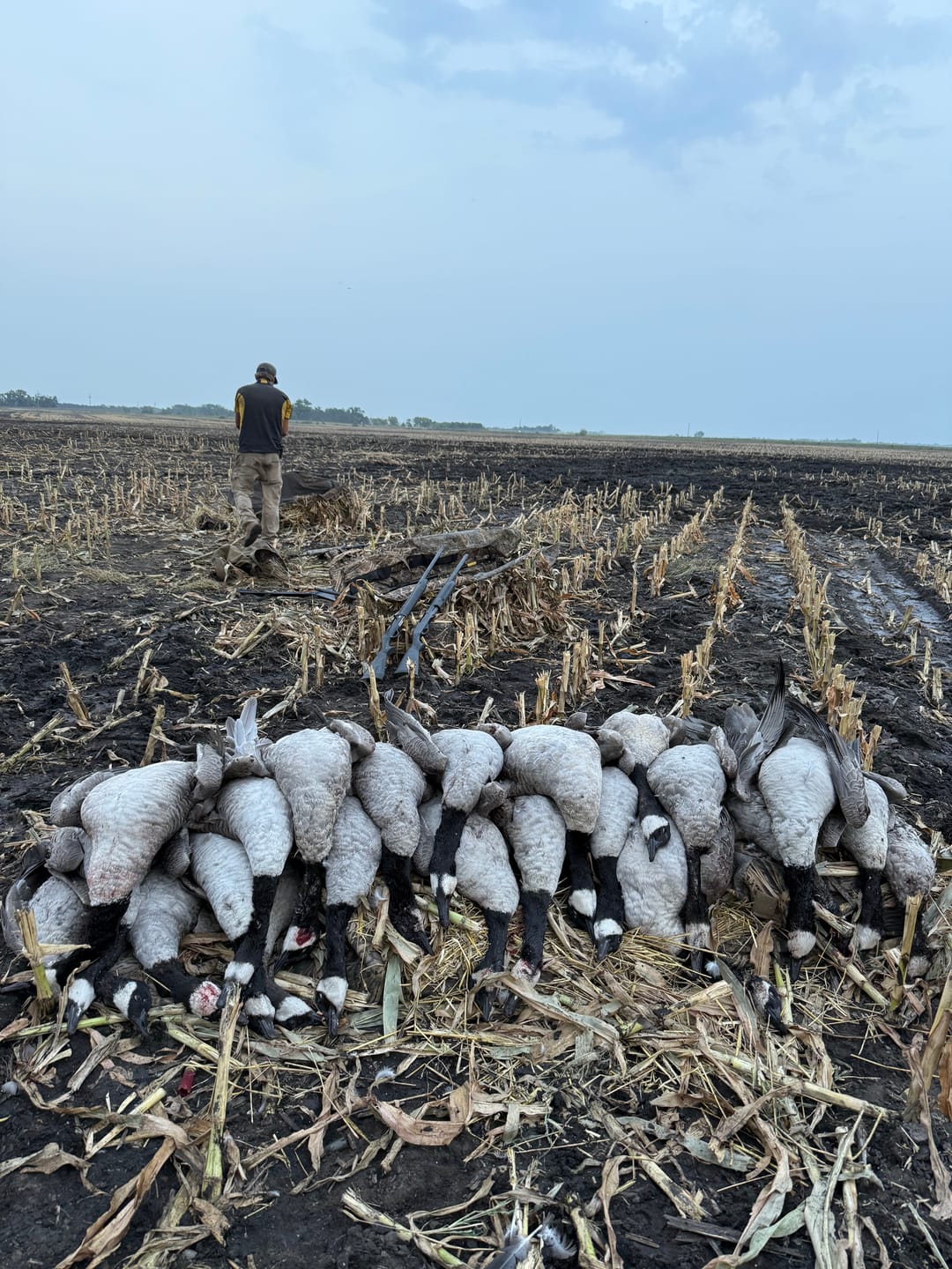 Customer photo review of Goose Guts