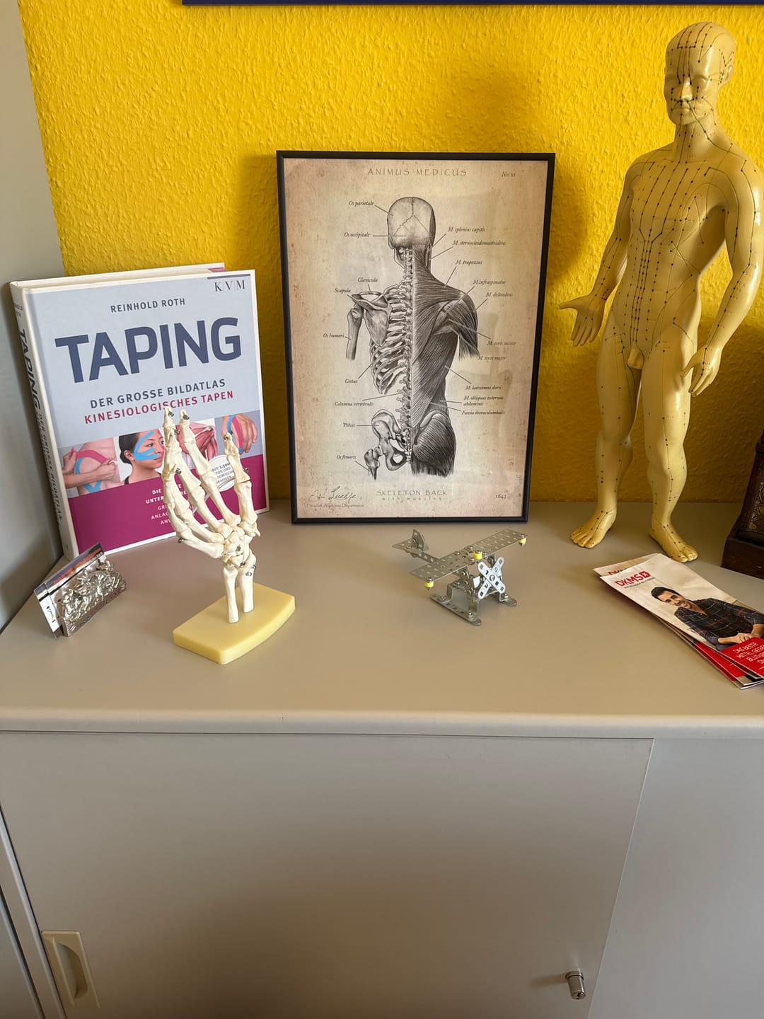 Customer photo review of Physio Praxis Starter Set