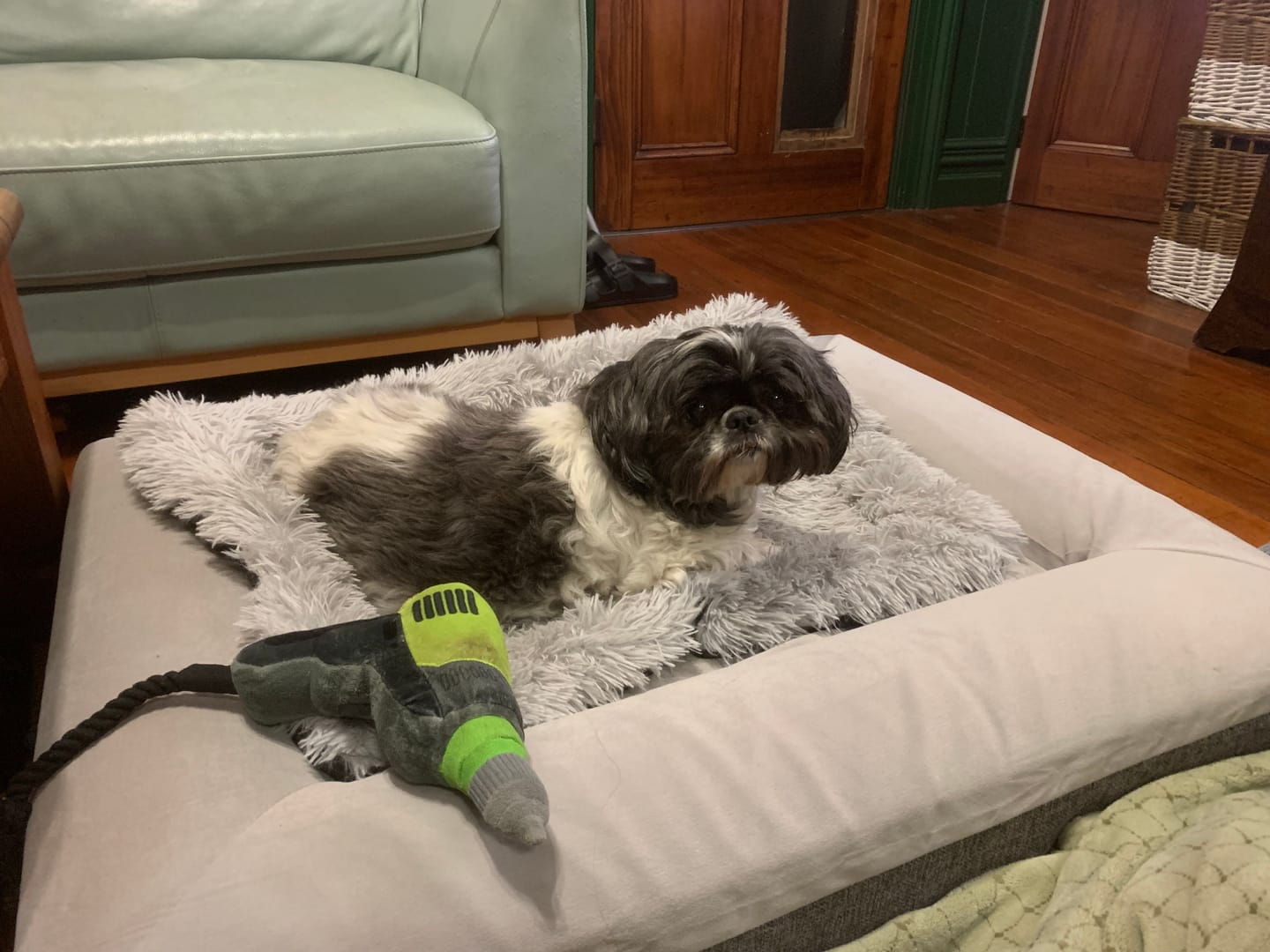 Customer photo review of Calming Cover