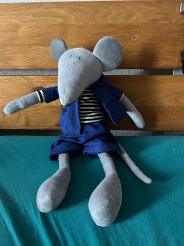 Customer photo review of HECTOR, LE RAT - GRAND