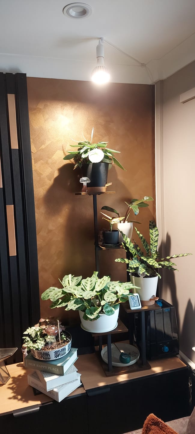 Customer photo review of Pianta LED Grow Light 3-Pack bundle