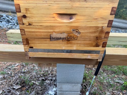 Customer photo review of MayBee Hives 2 PACK Screened Bottom Board with Entrance Reducer, 100% Beeswax Coating, Premium Cedar Wood ,Perfect for Langstroth Hive 10 Frame