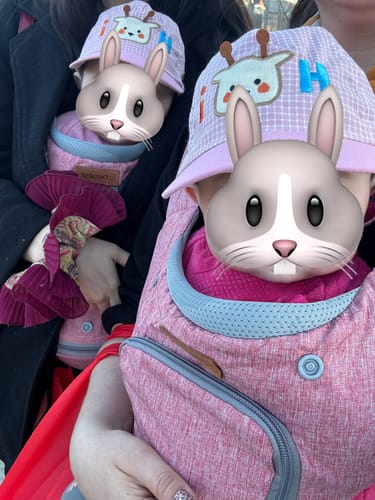 Customer photo review of Porta Bebe Arnés con asiento cuidados cadera Hip Seat Rosado