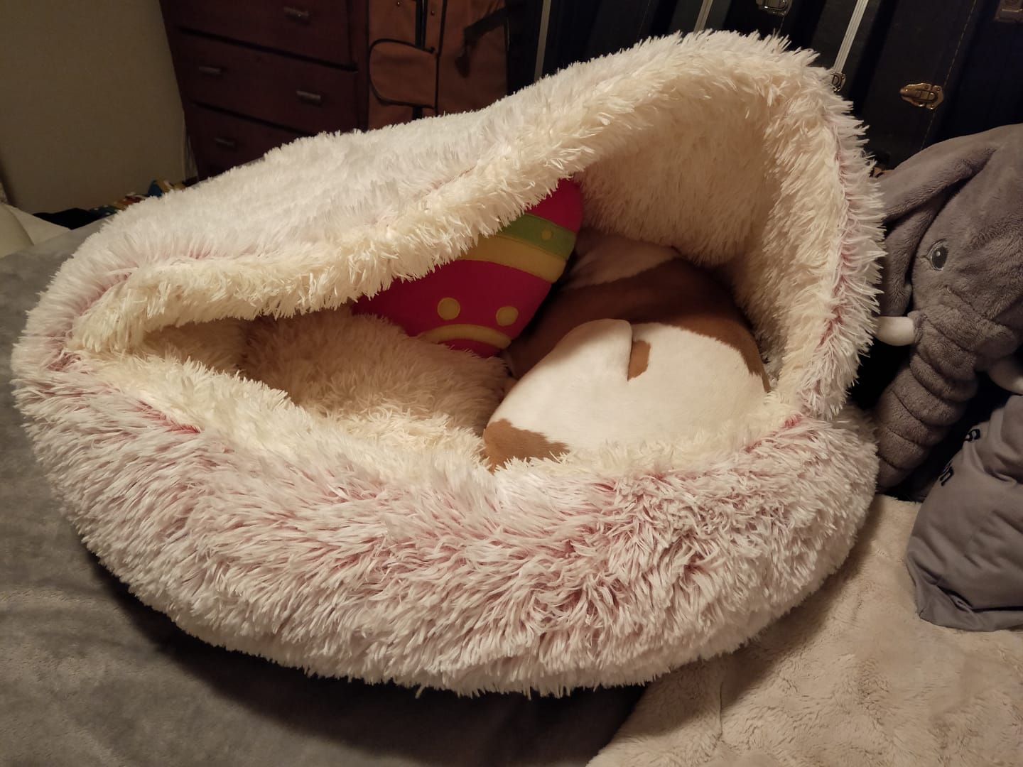 Customer photo review of Snuggle Cave