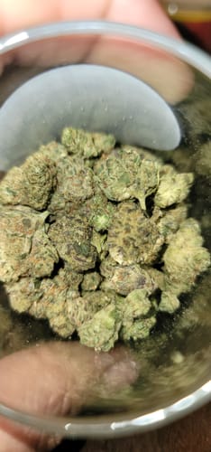 Customer photo review of Pineapple Cheesecake - Exotic Smalls