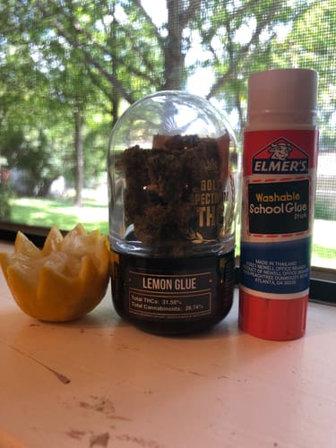 Customer photo review of Gold Spectrum THCA Flower (Top) - Lemon Glue