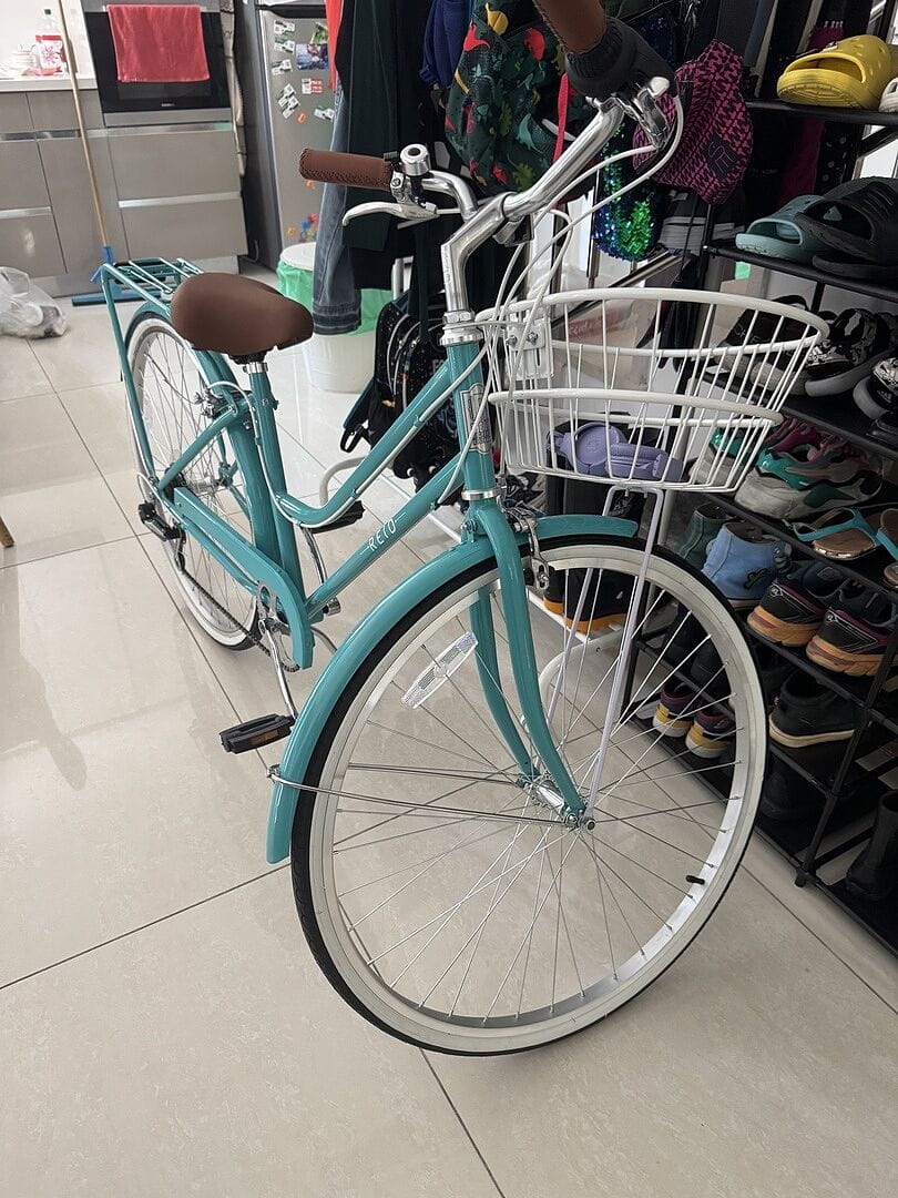 Customer photo review of אופני עיר וינטאג' לנשים Reid Ladies Classic