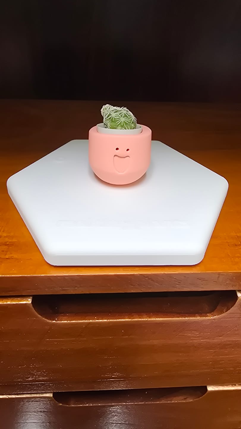 Customer photo review of LOL