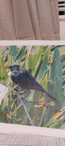 Customer photo review of Tui in Flax Bush