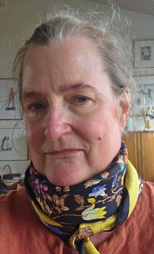 Customer photo review of Pristine Hermès Pierres d'Orient et D'Occident Silk Scarf