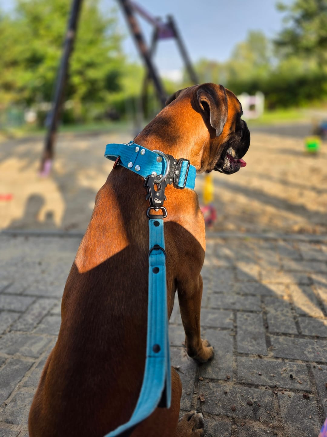 Customer photo review of Smycz przepinana z dodatkową raczką - Multi Guard Leash Black Edition Ocean Blue