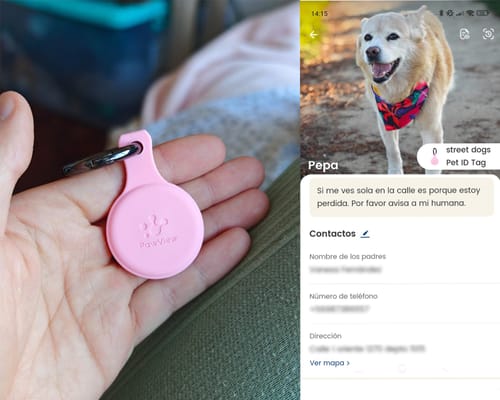 Customer photo review of Placa de Identificación Inteligente para Mascotas Colgante