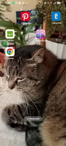 Customer photo review of Mousses riches en saumon & aux carottes (Chaton)