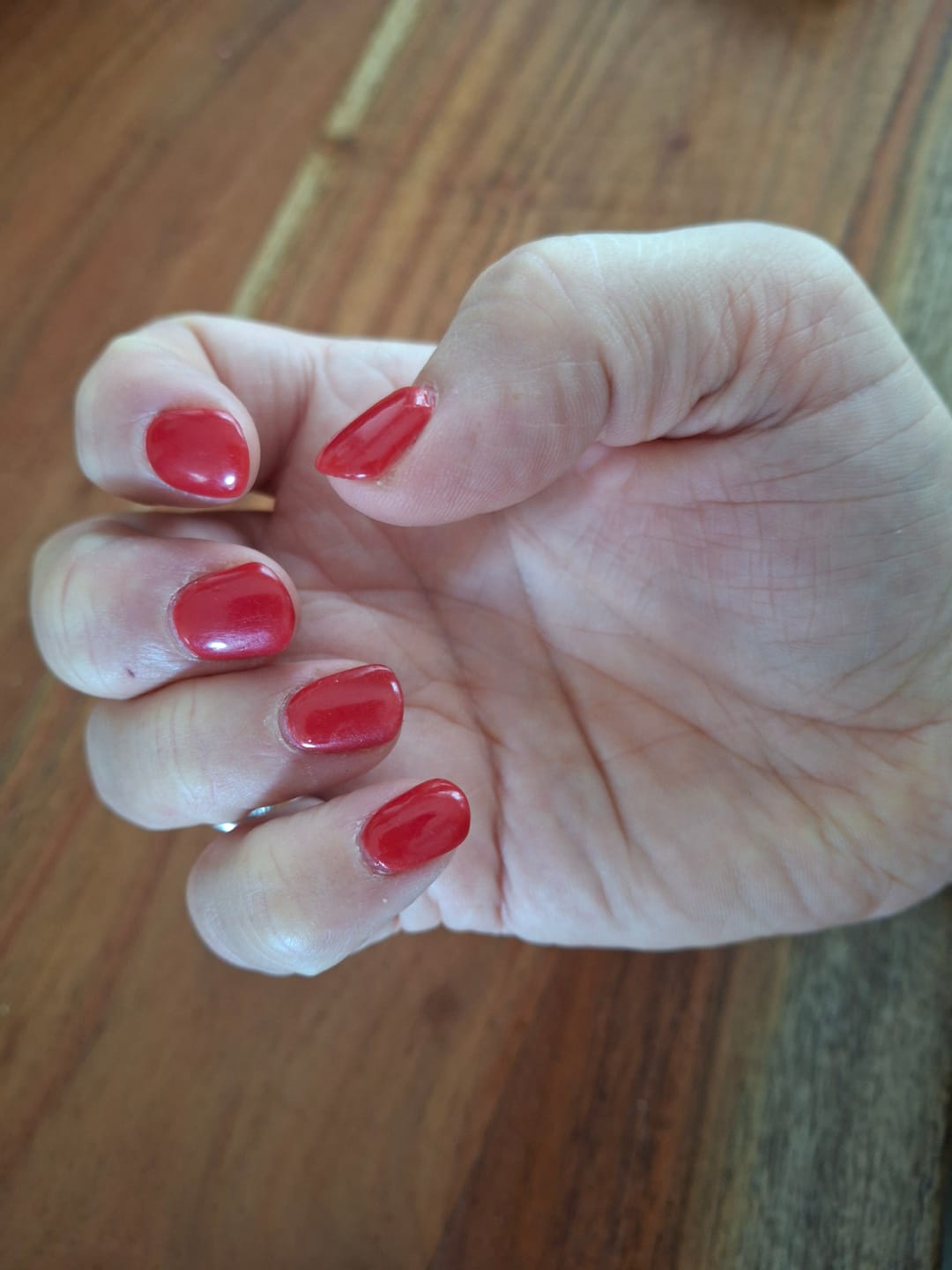 Customer photo review of Christmas Red Dipping Powder