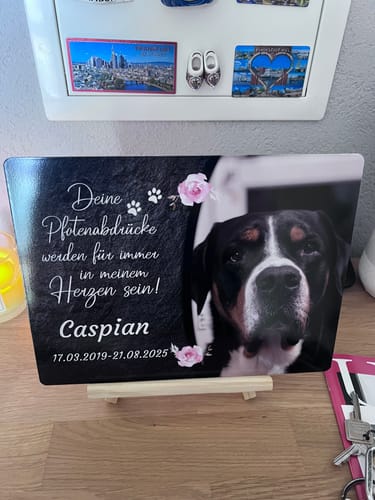 Customer photo review of Hunde Gedenktafel mit Foto & Spruch (UV- & Wetterfest)
