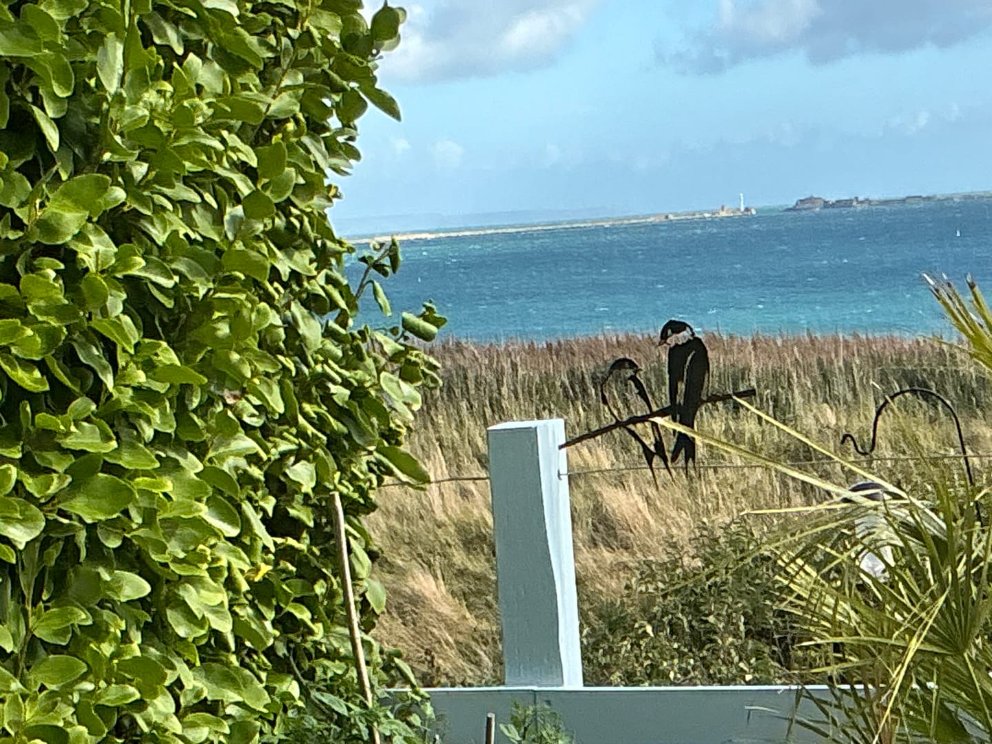 Customer photo review of Pair of Swallows