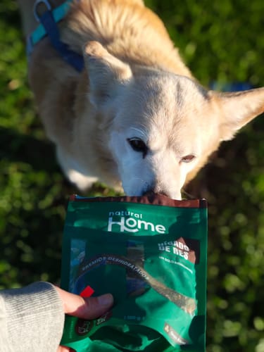 Customer photo review of Natural Home Treats Hígado de Res