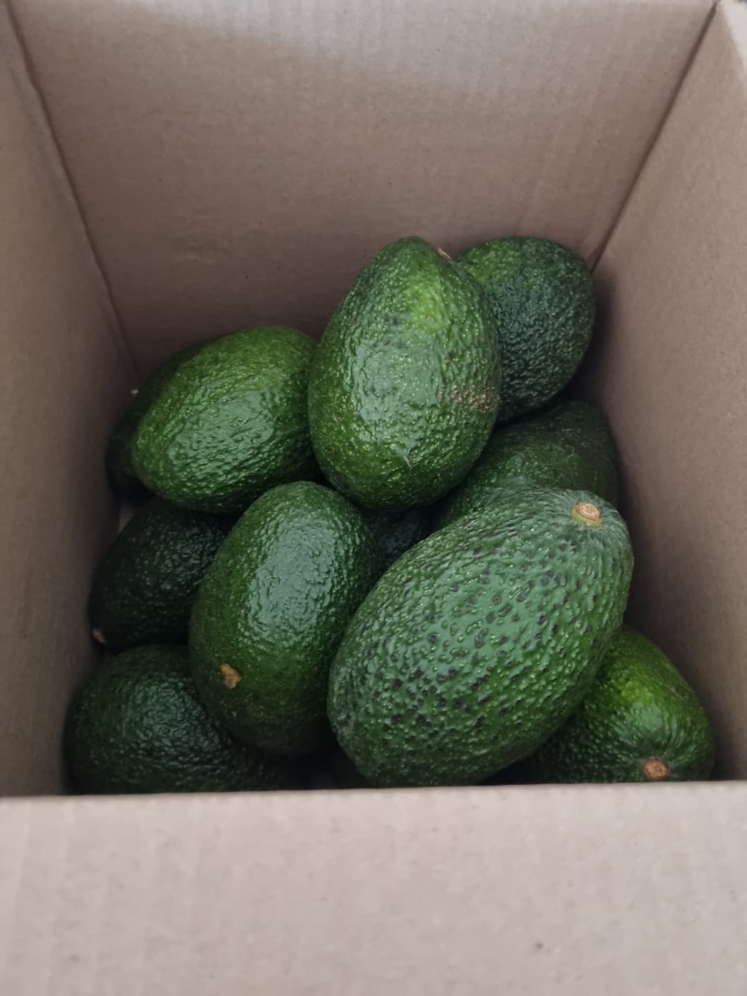 Customer photo review of 5 kg Palta Hass Chilena