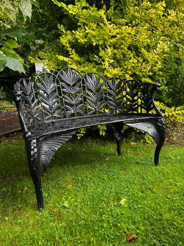 Customer photo review of Mushroom Gummies