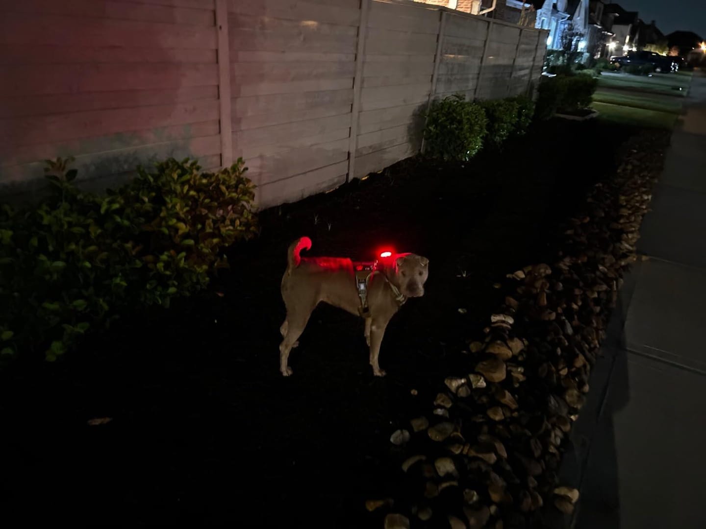 Customer photo review of Everbeam E200 LED Safety Lights Rechargeable - 2 Pack