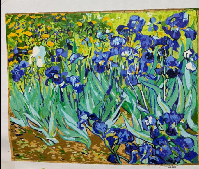 Customer photo review of Irises by Van Gogh – Paint by Numbers