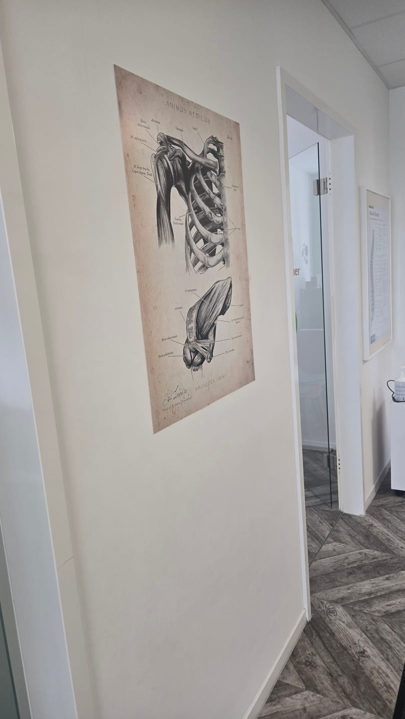 Customer photo review of Schultergelenk Anatomie