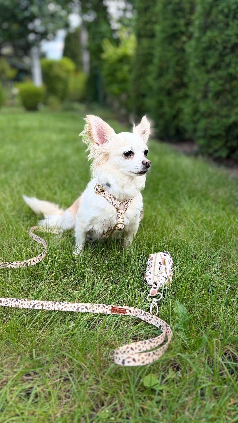 Customer photo review of Etui na kupoworki "Beige Terrazzo"