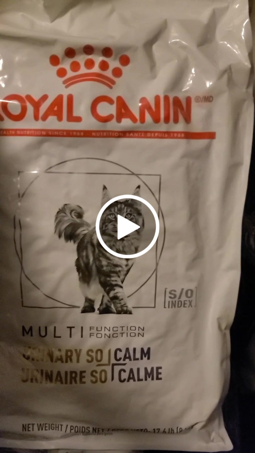 Customer video review of Royal Canin Veterinary Diet - Urinary SO + Calm Dry Cat Food