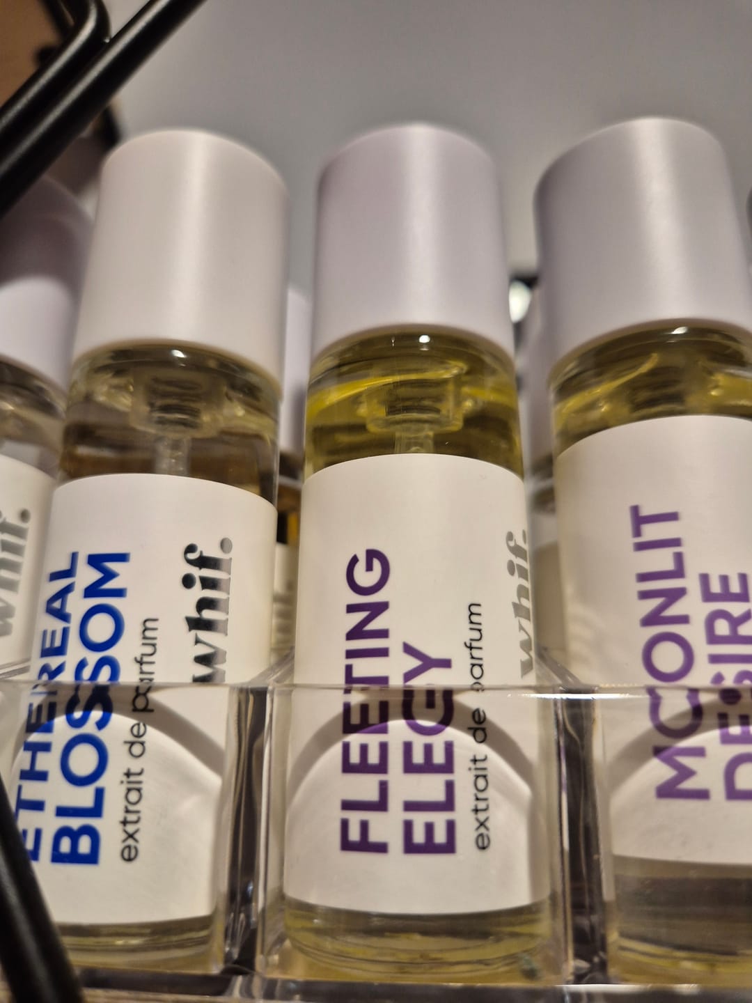 Customer photo review of Fleeting Elegy