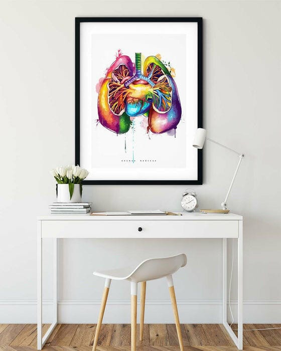 Customer photo review of Lungen Anatomie - Rainbow