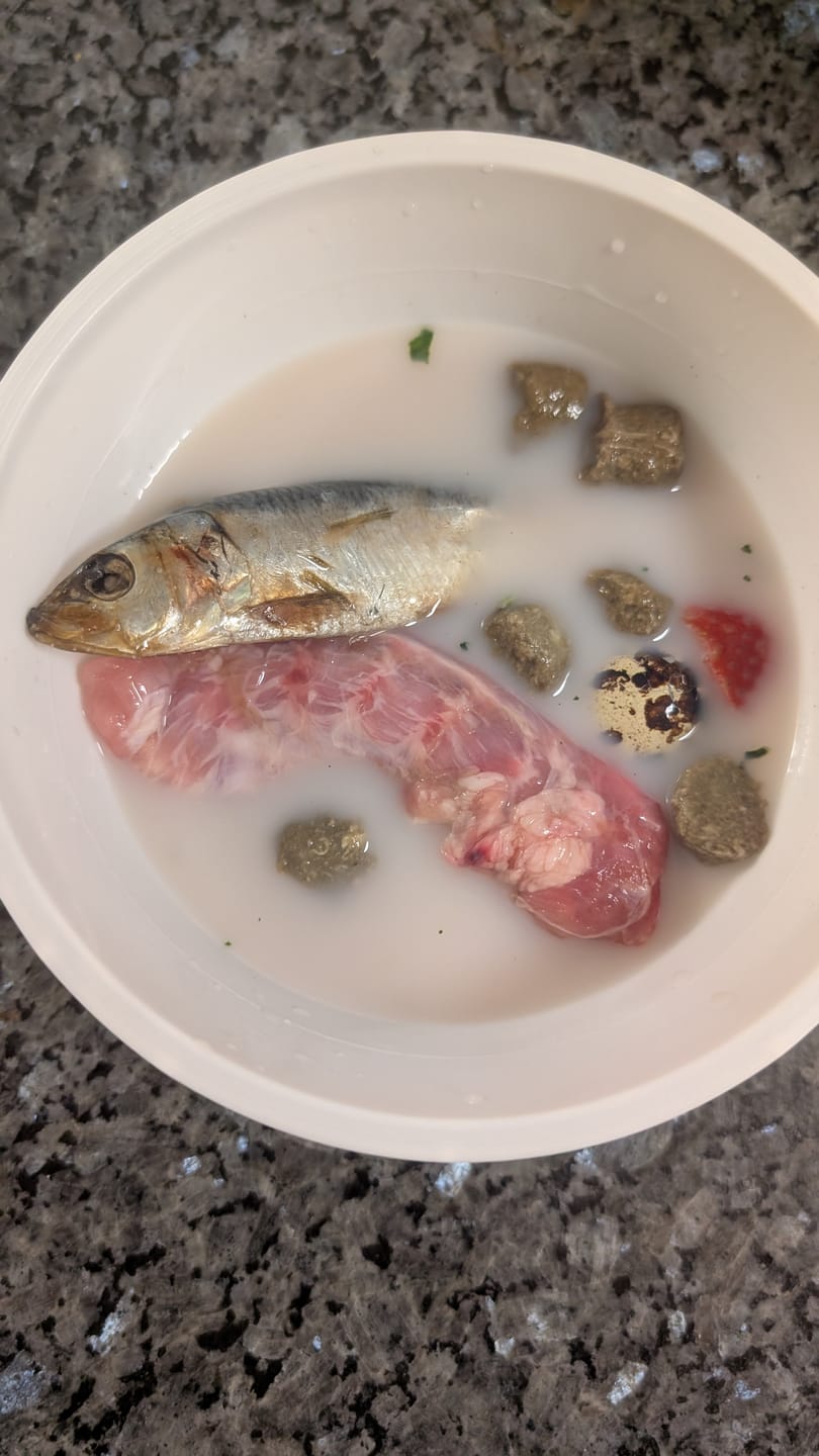 Customer photo review of Grass-Fed Beef Bone Broth Concentrate
